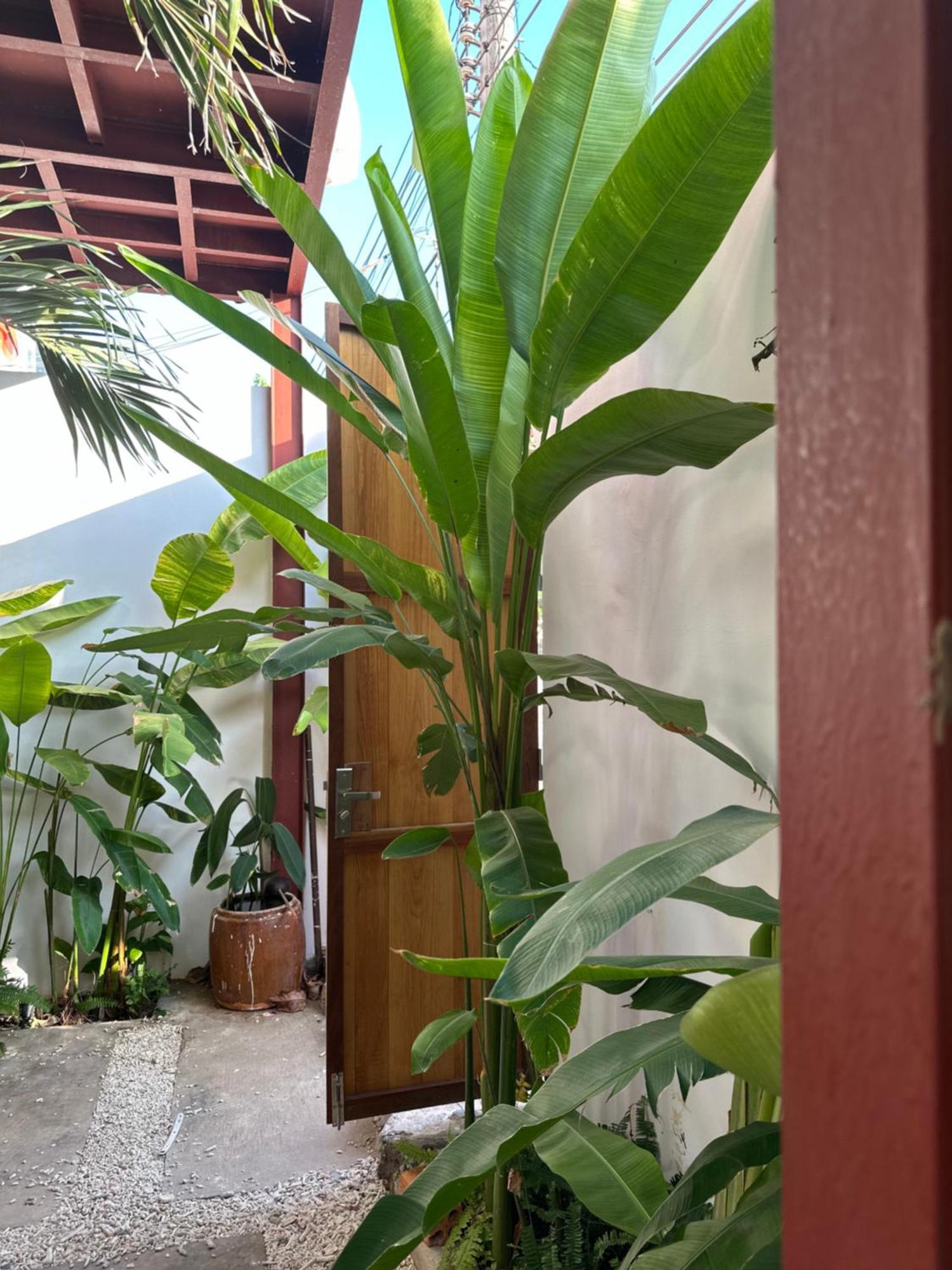 Palmcalina - Phuqui Beach House Cu Lao Thu Exterior foto